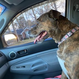 Meet your Posher, Chance